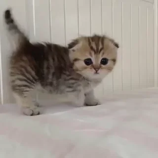 ☹️