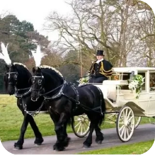 🐎