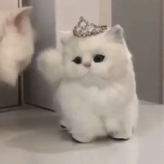 💖