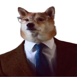 👨‍⚖️
