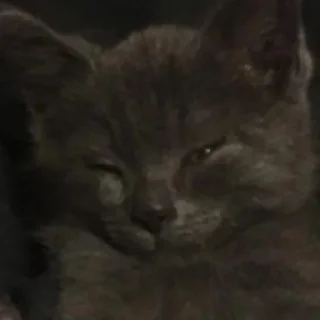😴