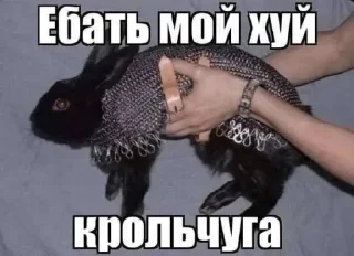 👩‍❤️‍👨