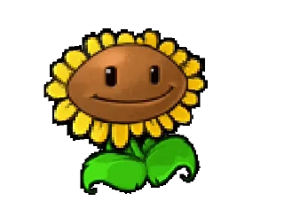 🌻