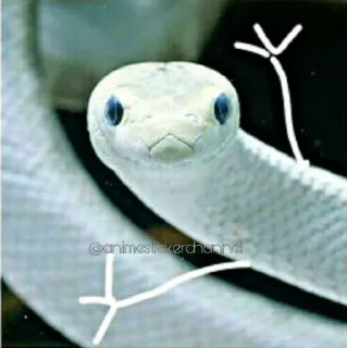 😆