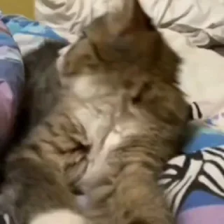 😍