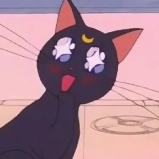 🤩