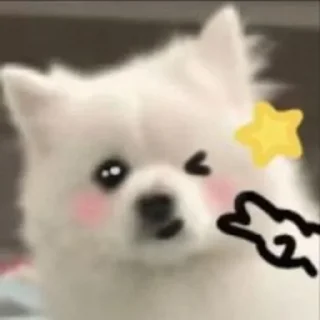 ✌️