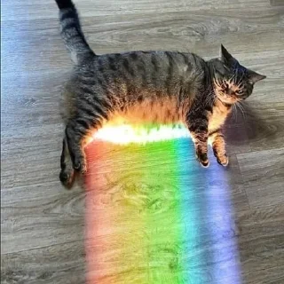 🌈