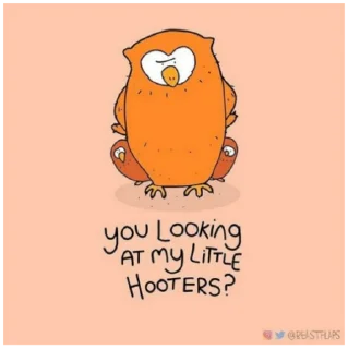 🦉
