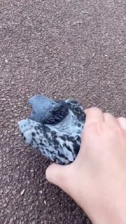 🤩