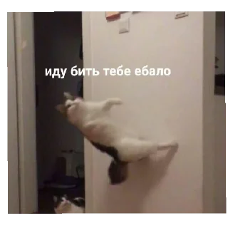 😇