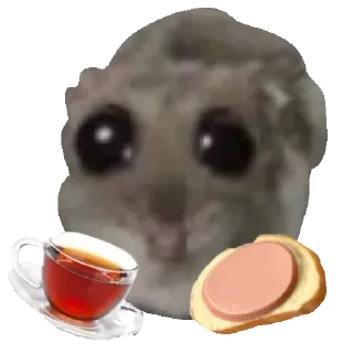 🥪