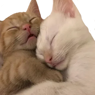 ❤️