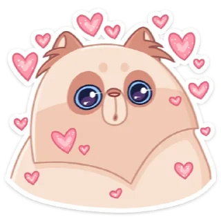 😍