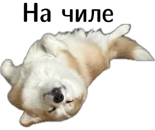 😎