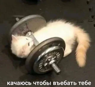 🏋️