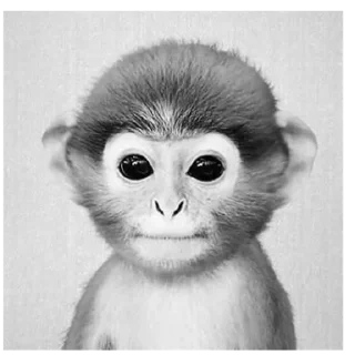 🐒