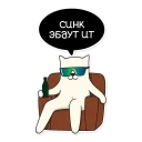 😎