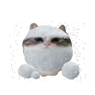 ⚪️