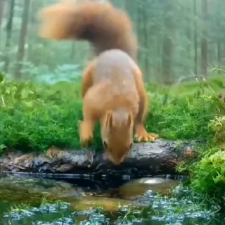 🤩