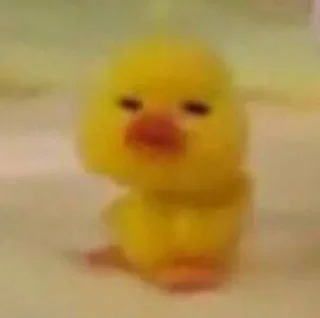 🗿