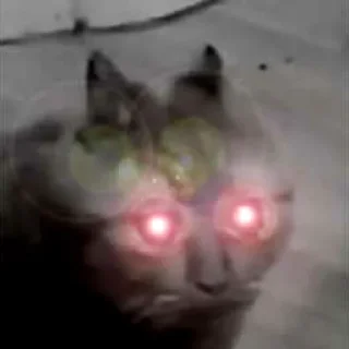 😳