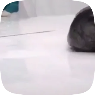 🏃‍♂️