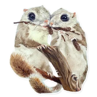🐿