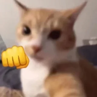 👊