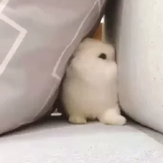 🥛