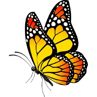 🦋