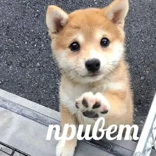 👋
