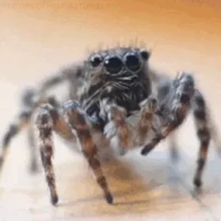 🥺