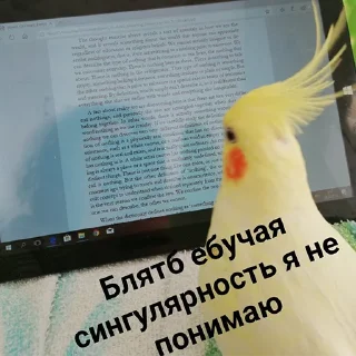 😤