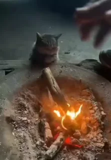 🤞
