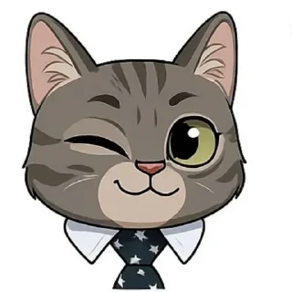 🐱
