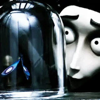 🦋
