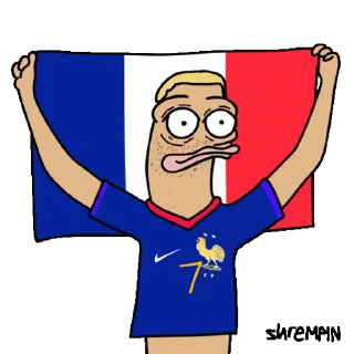 🇫🇷