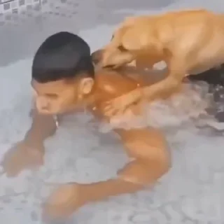 🐩