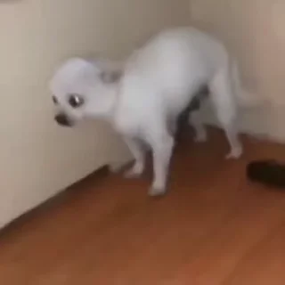 😐