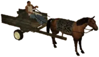 🐎