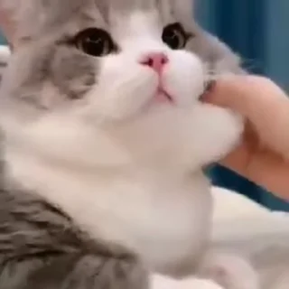😊