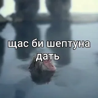 😳
