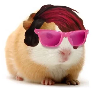 🐹