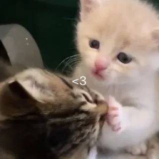 ❤️