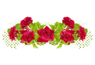 🌹
