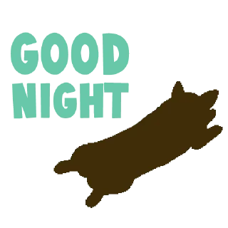 🌙