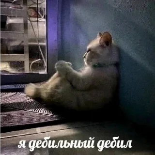 🙁