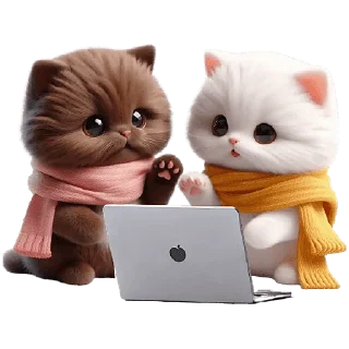 💻