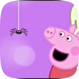 🐷